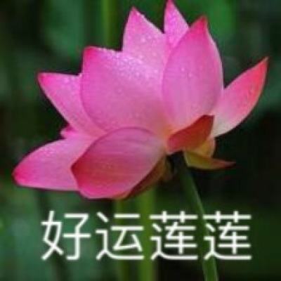 绝地皇家战场手游(暂未上线)v1.1.0 安卓版